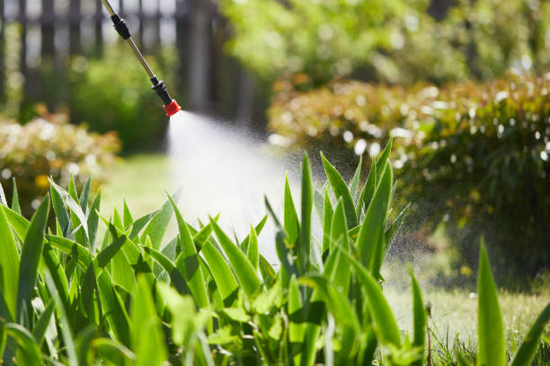 Tamper-Resistant Bait Stations for Rodents in Westville