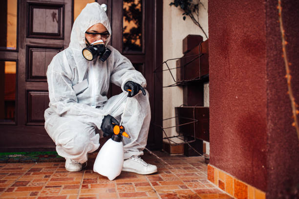 Attic and Crawl Space Rodent Treatment in Westville